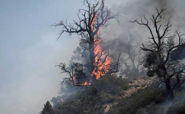 Southern California Firefighters Make Progress 100 Homes Destroyed