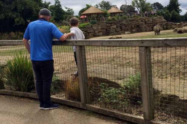 Shocking: Investigation underway at Dublin Zoo after a young child is spotted playing inside highly dangerous rhino enclosure