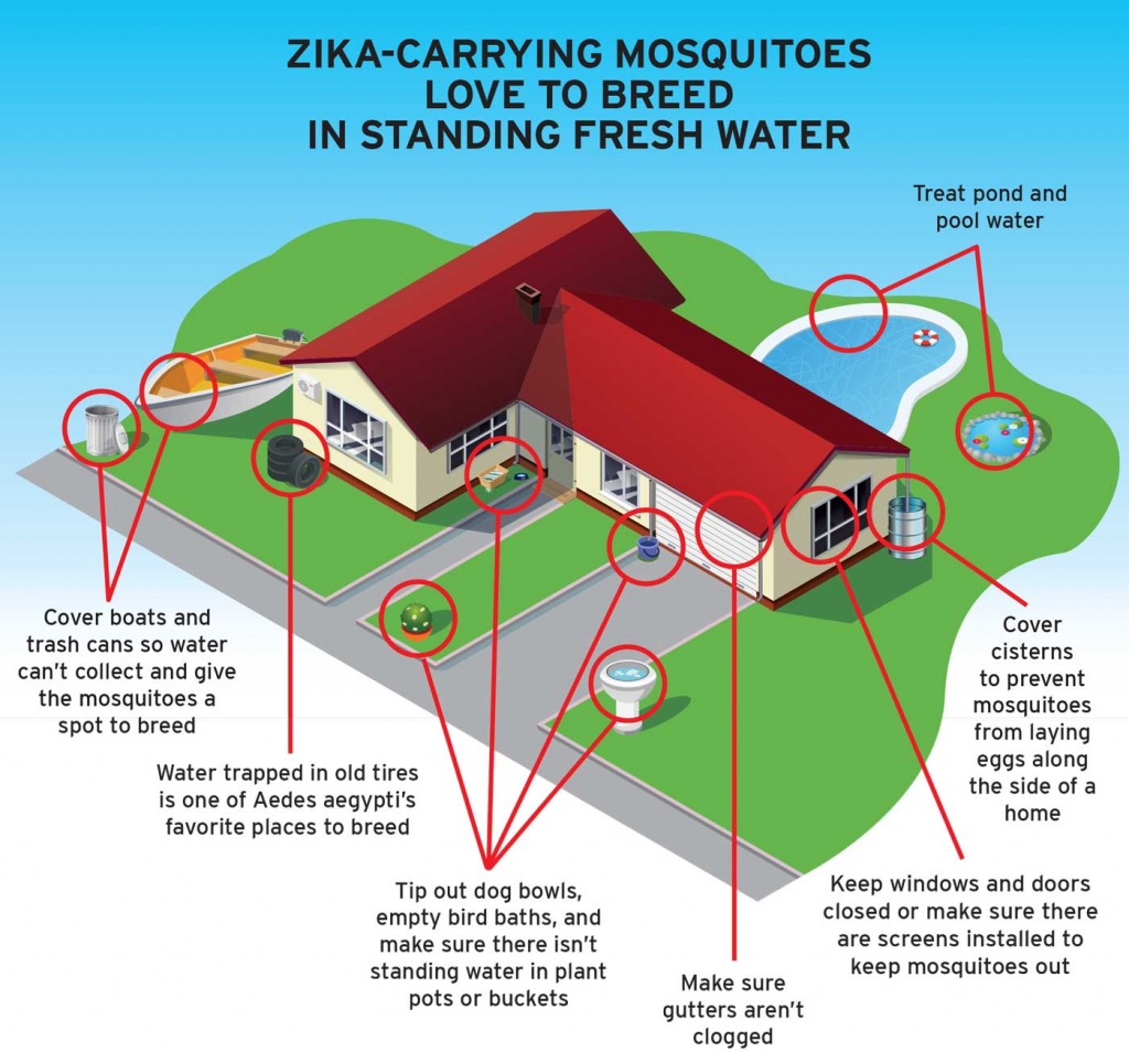 Infant's death is first Zika-related fatality in Texas