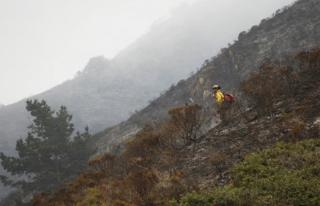 A firefighter stands on steep terrain while fire crews create fire breaks at Garrapata State Park during the Soberanes Fire north of Big Sur California