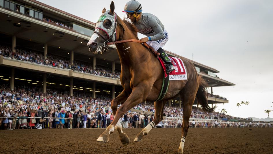 California Chrome coasts to victory in the TVG Pacific Classic Stakes on Saturday at Del Mar