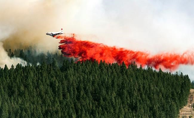 A plane drops a load of fire retardant on the north side of Beacon Hill Sunday Aug 21 2016 in Spokane Wash. The fast moving wildfire is threatening structures as it moves in a north-easterly direction