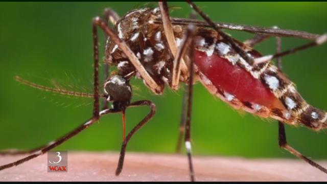 Aerial spraying aimed at killing mosquitoes in Miami begins