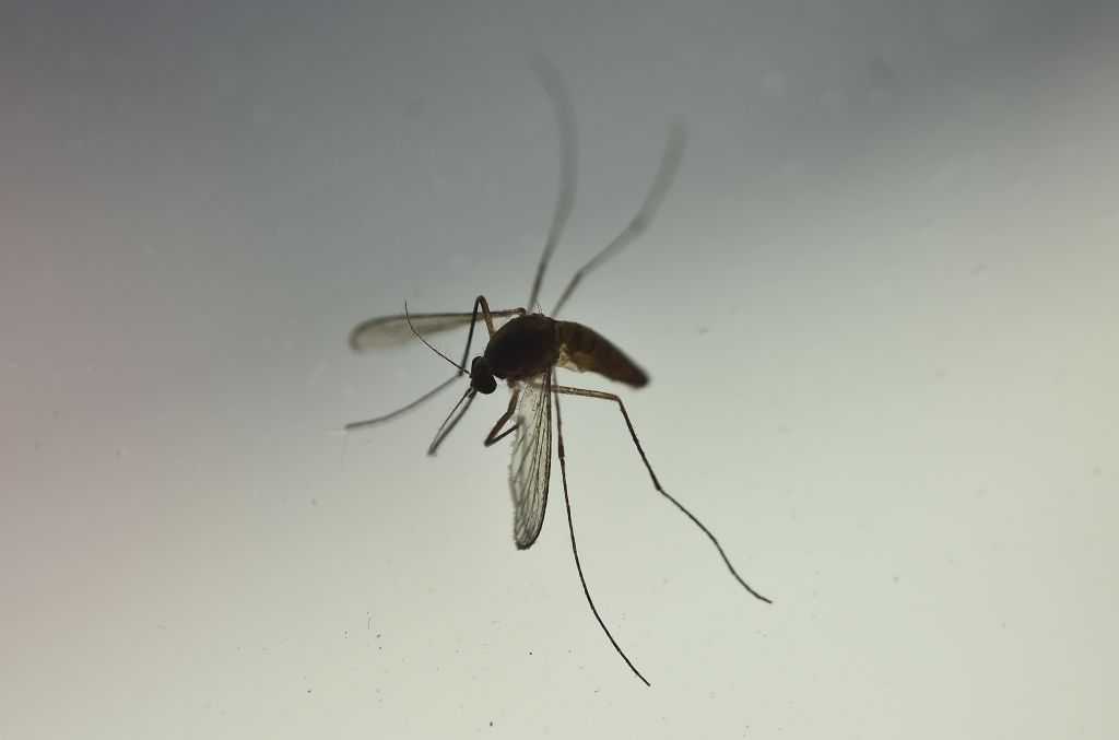 Casey Suglia4 hours ago A Zika Map Of Mexico Shows Zika Is Still A Threat     YURI CORTEZ  AFP  Getty Images