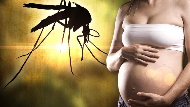 Cayman reports first local Zika case