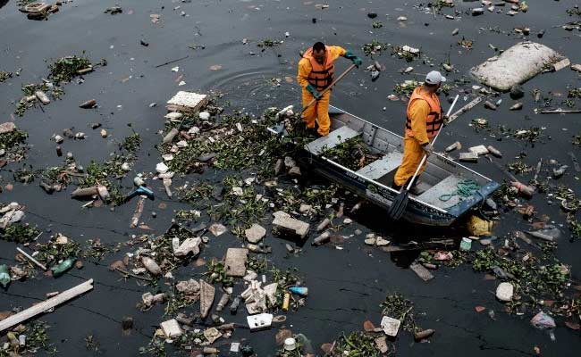 Corpses Excrement Litter Welcome To Rio Olympic Sailing Venue