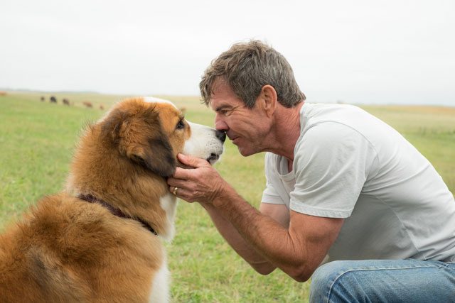 A Dog's Purpose Dennis Quaid