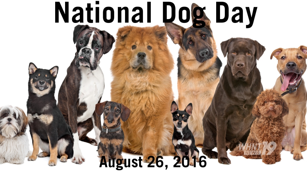 National Dog Day