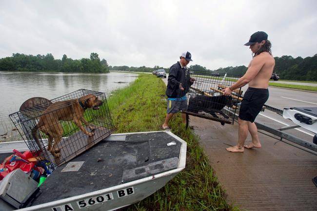 State of emergency declared as three die in 'historic' floods in Louisiana