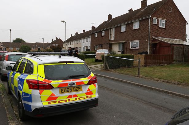 Halstead Essex- A family has been left devastated after a young boy was killed by a pet dog