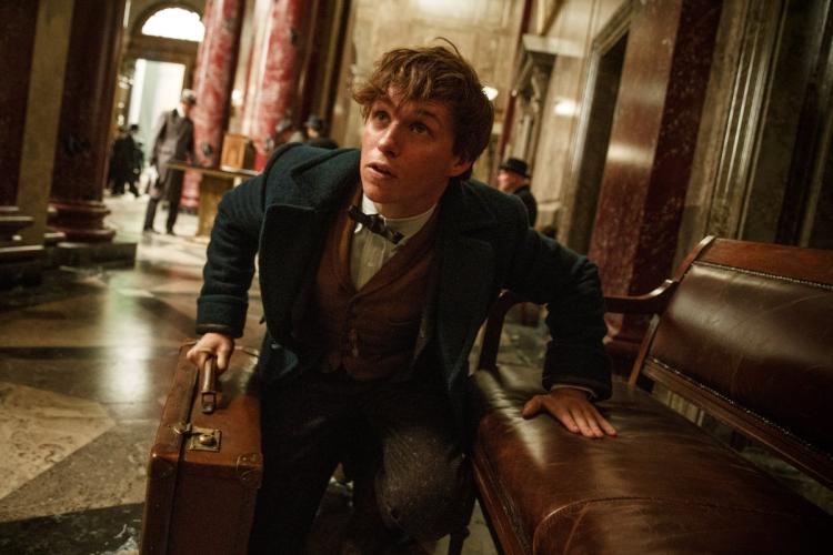 Eddie Redmayne is set to star in the new “Fantastic Beasts” franchise