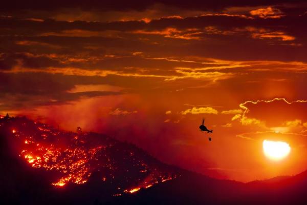 Wild fires spread in southern France, four firemen injured