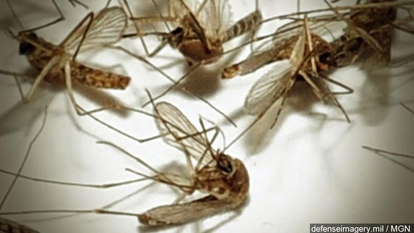 Florida probes new Zika case outside Miami