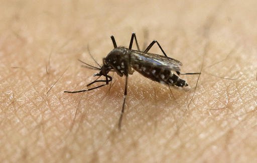 Patients test positive for Zika virus in 2 UK cities – reports