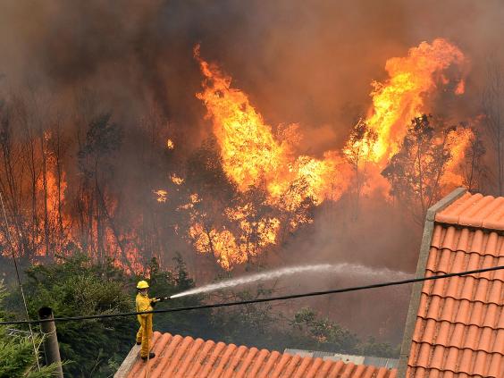 Major Forest Fire in Portugal's Madeira Islands Burns Homes