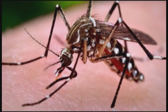 Gov. Scott Announces More Zika Cases in South Florida