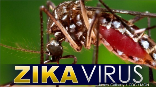 Montana man diagnosed with Zika virus after travels