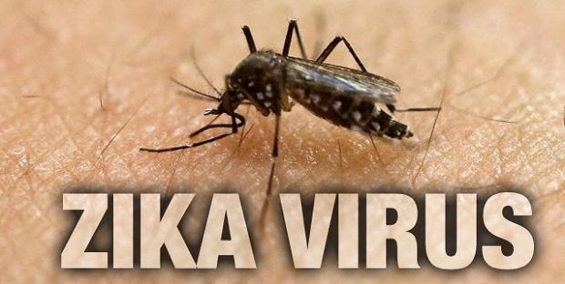 Zika Virus