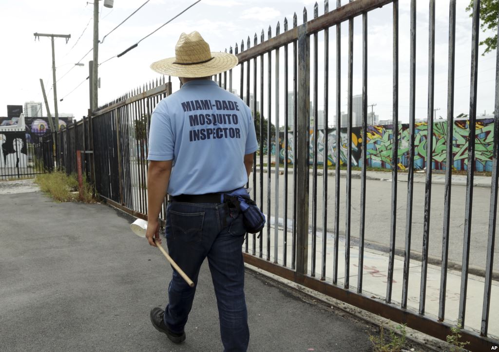 FILE- An inspector with the Miami Dade County mosquito control department looks for standing water as he inspects an empty lot Aug. 2 2016 in the Wynwood neighborhood of Miami Florida