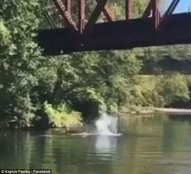 Sheriff investigates after video shows 4-year-old boy being thrown off a bridge into a river