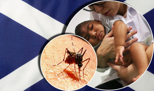 GETTYCases of Zika have been confirmed in Scotland