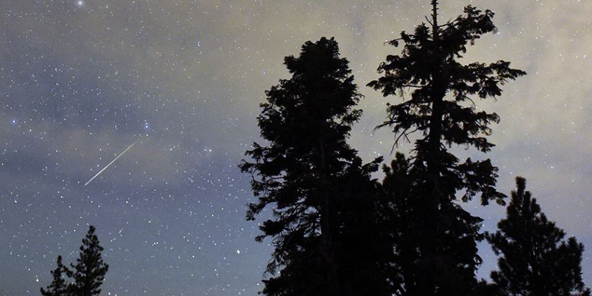 How to watch the Perseid meteor shower online