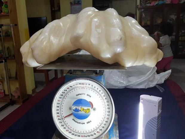 'World's largest' clam pearl found in Philippines