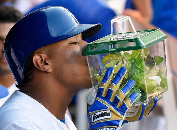 KANSAS CITY MO- AUGUST 20 After hitting a two-run home run Salvador Perez #13 of the Kansas City Royals kisses the box containing the Rally Mantis in the fifth inning against the Minnesota Twins at Kauffman Stadium