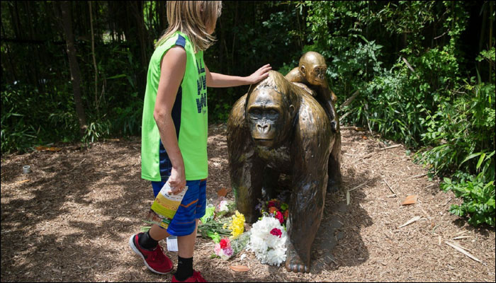 Harambe killing Cincinnati zoo deletes official Twitter account