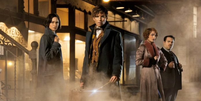 Fantastic Beasts and Where To Find Them sequel in development