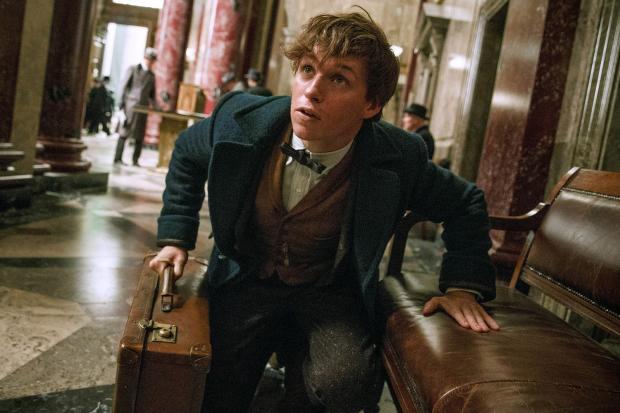 Fantastic Beasts and Where to Find Them sequel confirmed with JK Rowling and David Yates returning