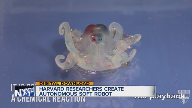 Harvard researchers create autonomous soft robot called the'Octobot                       WXYZ