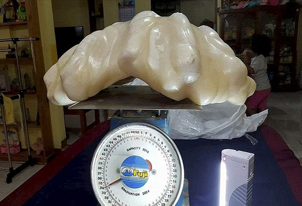 The $137m pearl a fisherman kept for 10 years