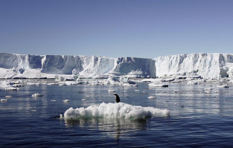 Huge crack is rapidly expanding along Antarctic ice shelf			 0					By		Jonathan Edwards		 		on				23 August 2016	
				Science