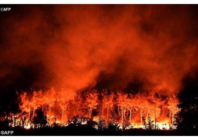 Image of a wildfire blaze- AFP