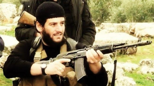 Islamic State leader in charge of foreign attacks killed in Syria