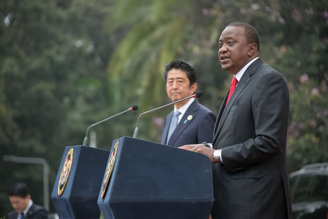 Japan's Prime Minister Shinzo Abe attends the Sixth Tokyo International Conference on African Development in Kenya's capital Nairobi