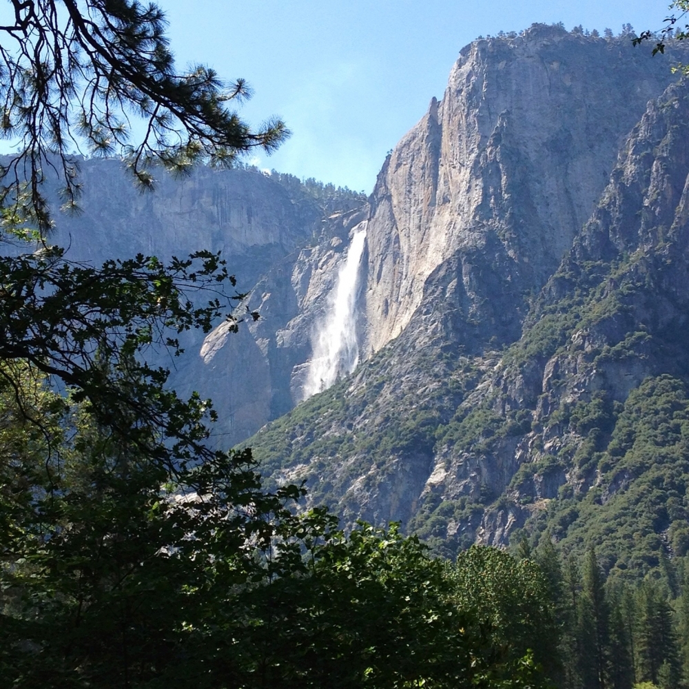 Happy birthday Yosemite the National Parks Service turned 100 this week