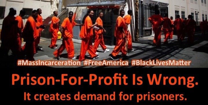 Prison-for-Profit Is Wrong meme