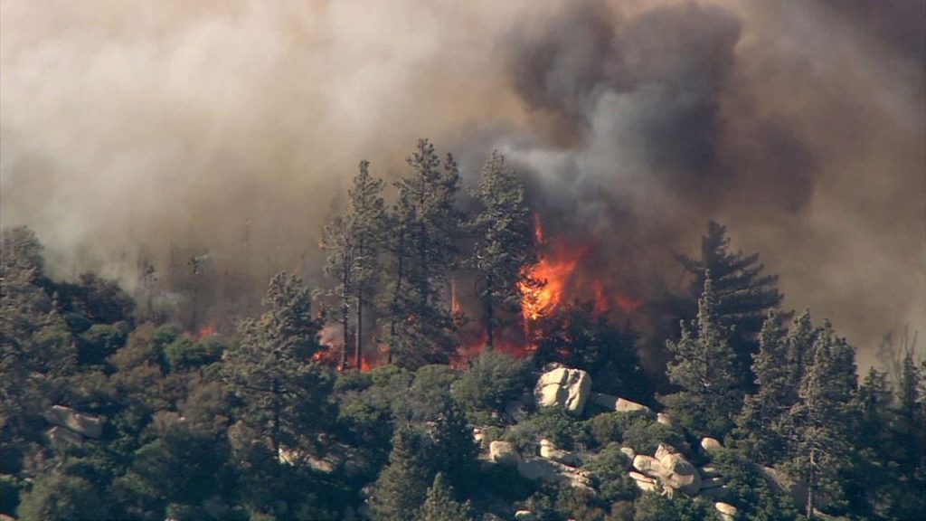 Flames from the Pilot Fire burn through trees in the San Bernardino National Forest