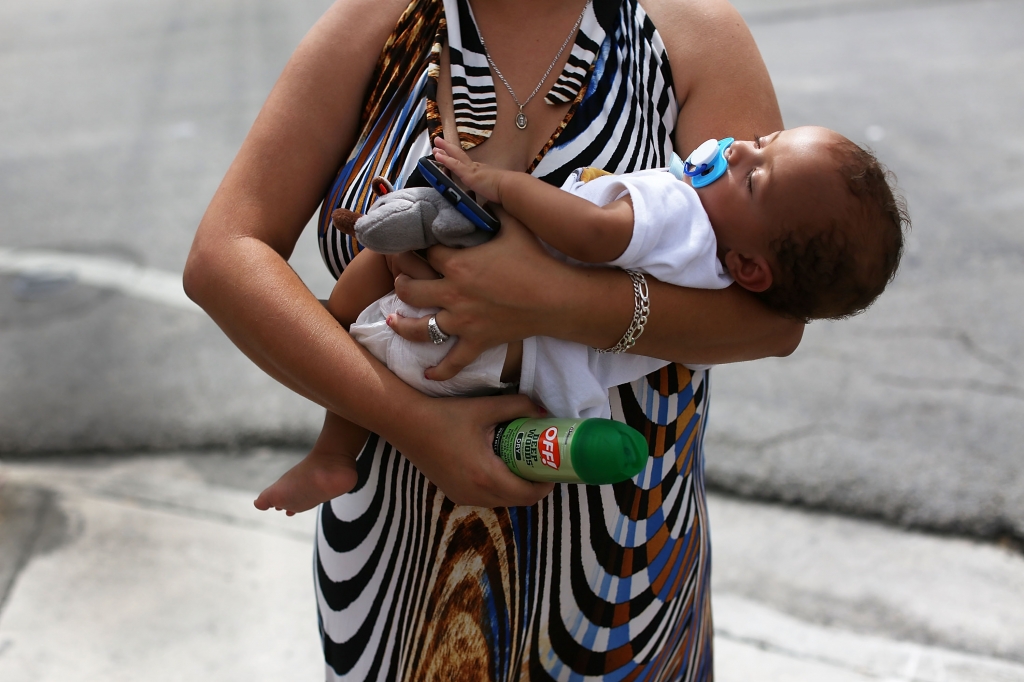 Kimberly Zapata4 hours ago The Link Between Zika & Microcephaly Everything You Need To Know     Joe Raedle  Getty Images News  Getty Images