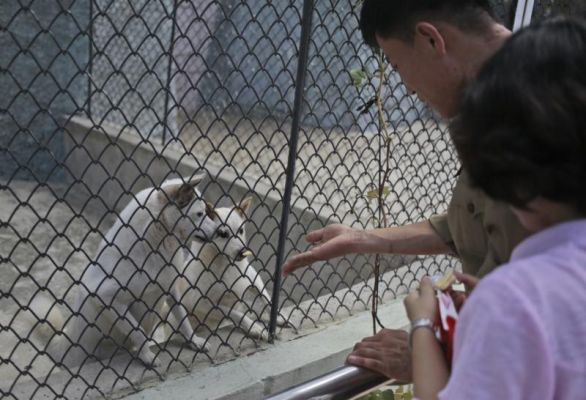 Visitors feed dogs at the newly opened Central