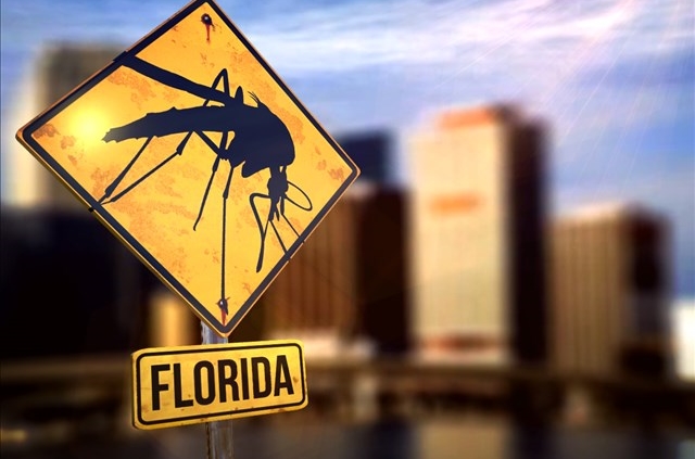 Mosquitoes In Florida Have Now Given 21 People Zika