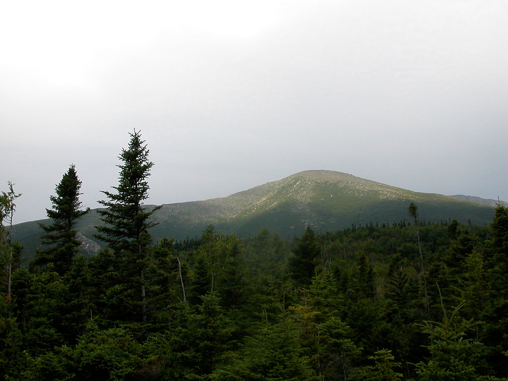 Katahdin-Woods