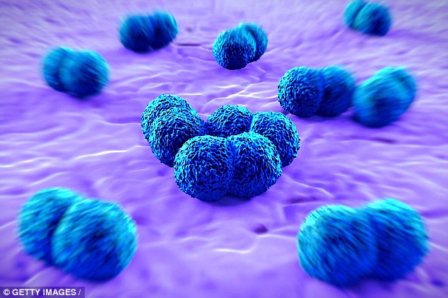 Cases of Meningitis W have increased by 850 per cent since 2009. This strain has a 13 per cent fatality rate- higher than any other form of the infection