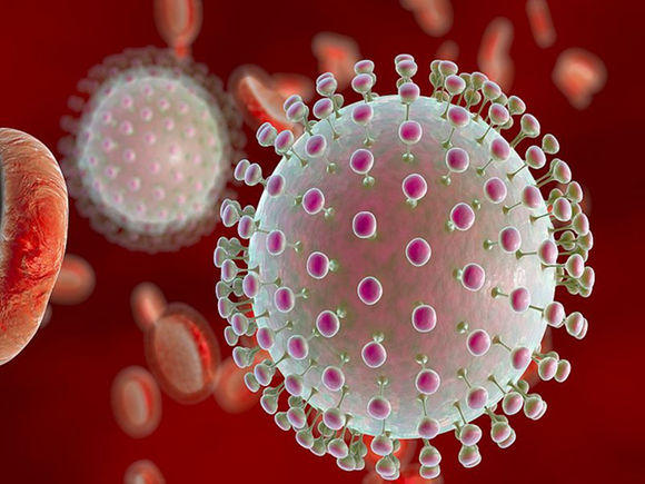 Model of Zika Virus. A South Dakota resident became infected through a mosquito bite while in the Tropics