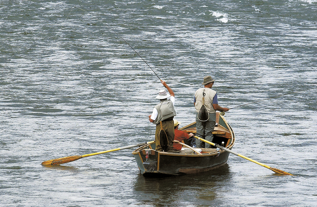 Fish-killing poison to be applied in Yellowstone streams