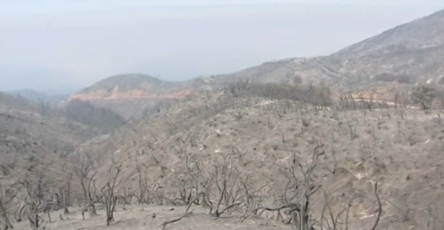 More than 4,800 fire personnel were still battling the Soberanes Fire August 11