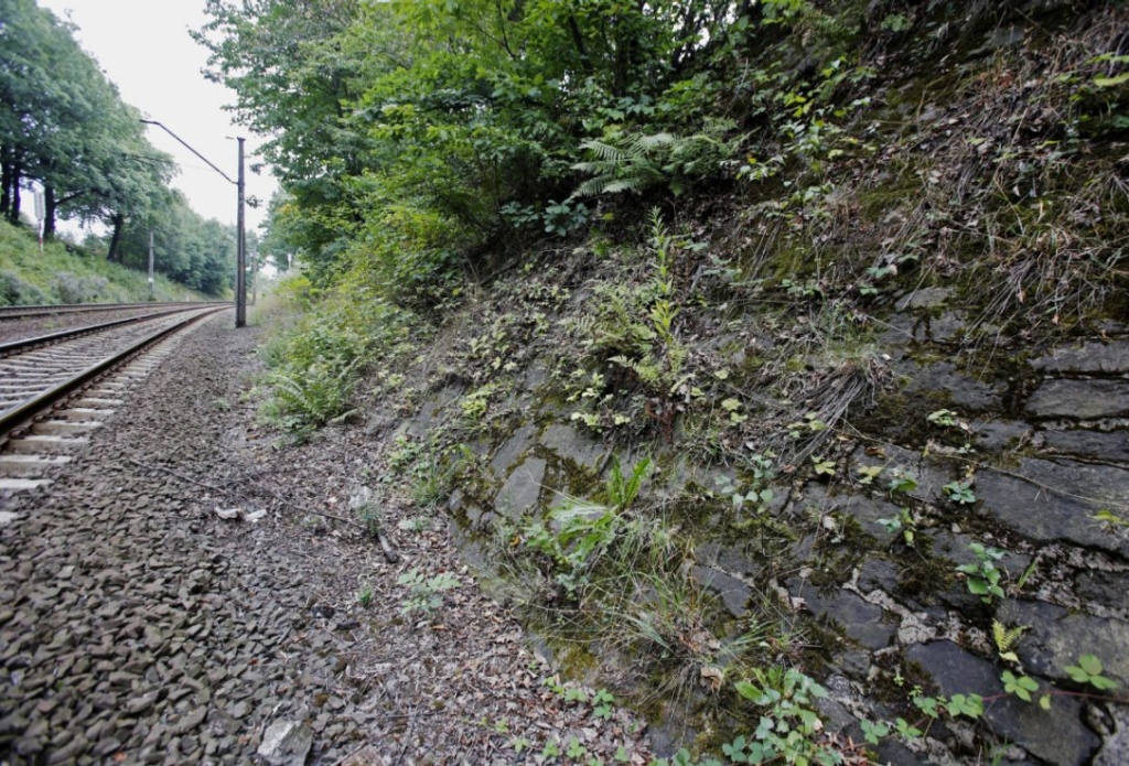 The site where the train is believed to be hidden near the city of Walbrzych Poland. The story of a Nazi-era train with valuable art gems and gold that disappeared at the end of World War II has circulated for decades