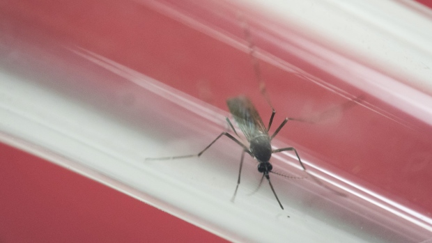 Men may be able to spread Zika through sex for six months